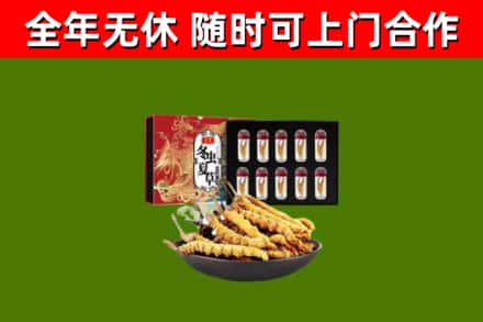 垦利回收冬虫夏草价格